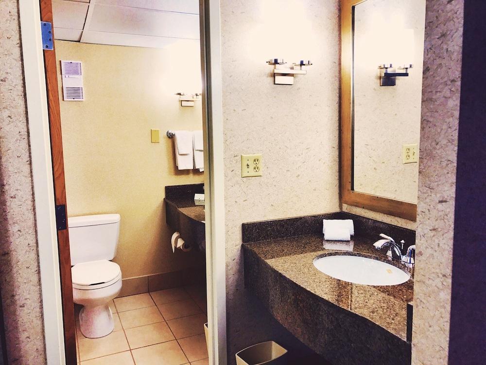 Doubletree By Hilton St Paul Downtown